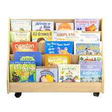 Load image into Gallery viewer, Double Sided Book Rack with 10 Shelves (S323)