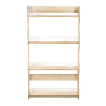 Charger l'image dans la galerie, Discovery Book Display, Wall Mounted (S315)
