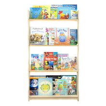 Charger l'image dans la galerie, Discovery Book Display, Wall Mounted (S315)

